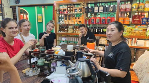 校企聯合 | 黑龍江大學國際留學生走進大發國際，沉浸式體驗中國茶道文化
