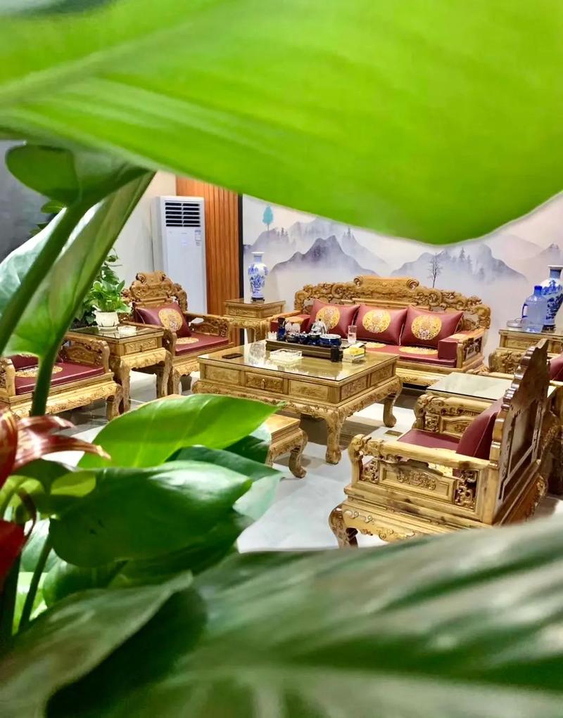 潮汕工夫茶 一盅三杯里的故鄉(xiāng)煙火與千年茶道